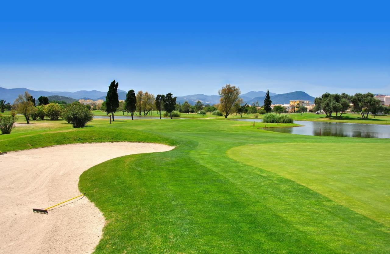 Anacasa Albatros Met Nova Golf Ap463 Oliva